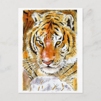 Postal de tigre de nieve