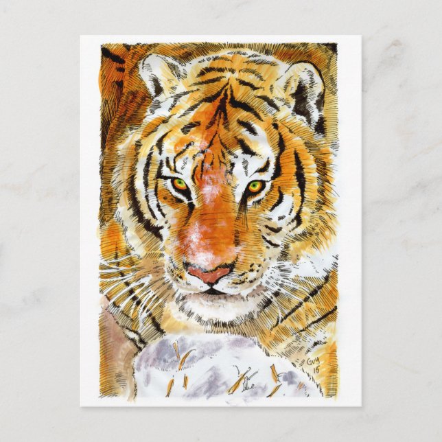 Postal de tigre de nieve (Anverso)