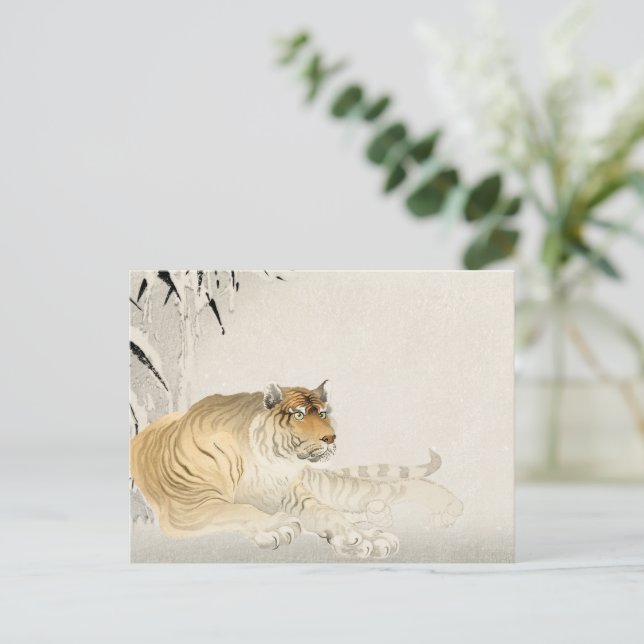 Postal de tigres - Vida salvaje audaz y majestuosa (Anverso de pie)