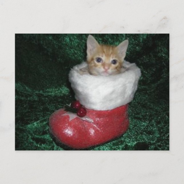 Postal de Timon (Anverso)