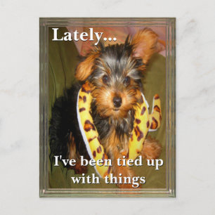 Postal de todos los Personalizables atados