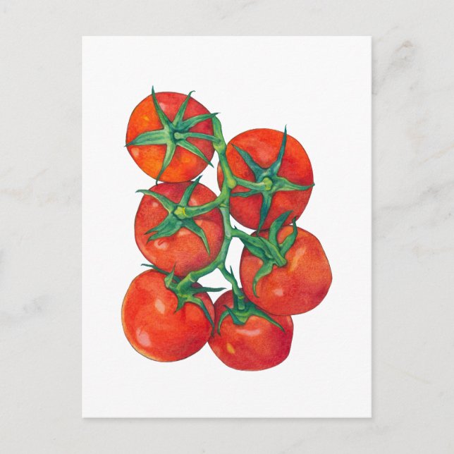 Postal de tomates rojos (Anverso)
