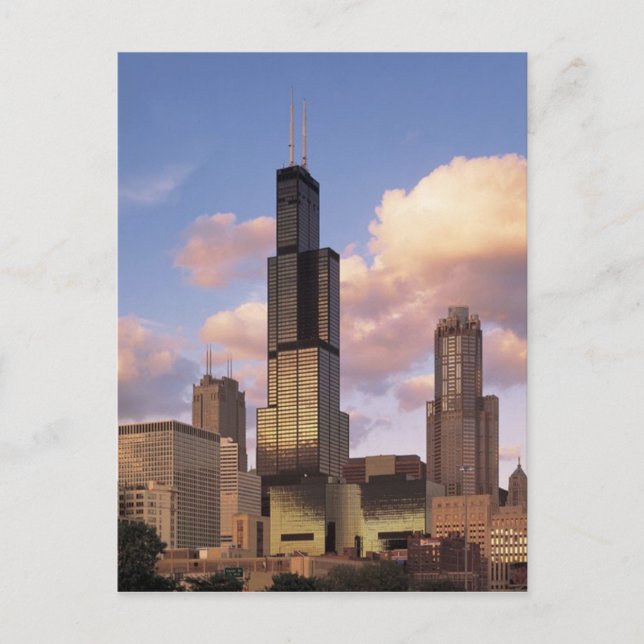 Postal de Torre Sears - torre de Willis - Chicago (Anverso)