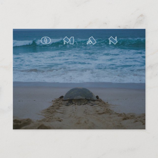 Postal de tortuga de Omán (Anverso)