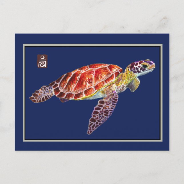 Postal de tortuga marina (Anverso)