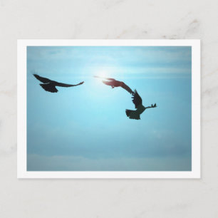 Postal de tres cuervos