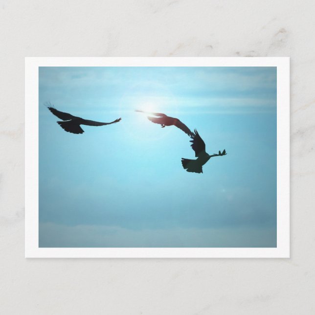 Postal de tres cuervos (Anverso)