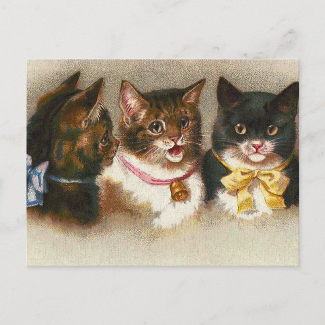 Postal de "Tres gatos vintage" (Anverso)
