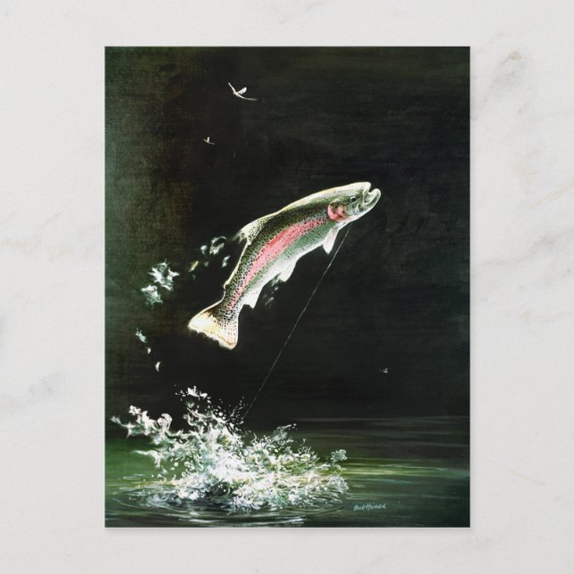 postal de trucha arco iris (Anverso)