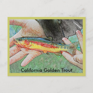 Postal de trucha dorada de California