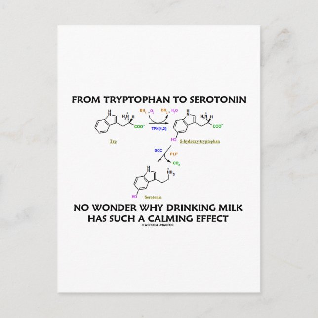 Postal De Tryptophan A Serotonina (Humor Químico) (Anverso)