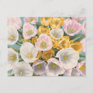 Postal de Tulip Tantrum