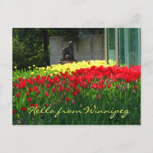 Postal de tulipán