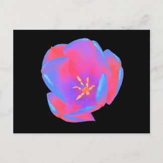 Postal de tulipán fluorescente