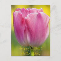 Postal de tulipanes rosados de primavera
