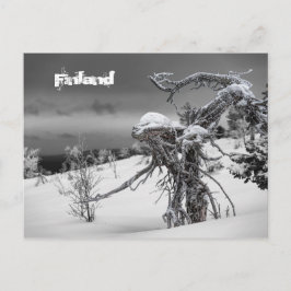 postal de turismo de Finlandia