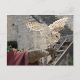 Postal de un búho
