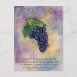 Postal de uvas de vino Pinot Noir