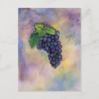 Postal de uvas de vino Pinot Noir