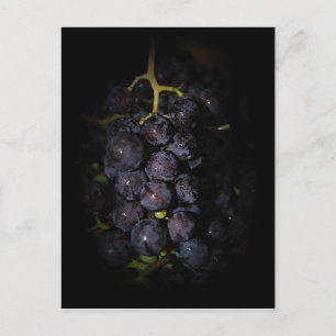 Postal de uvas moradas