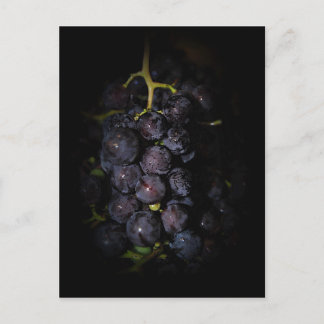 Postal de uvas moradas