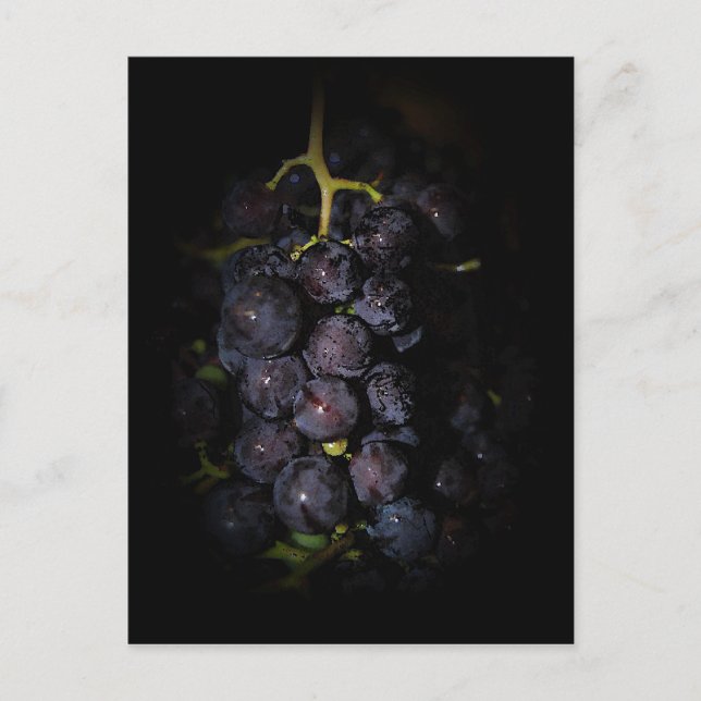 Postal de uvas moradas (Anverso)