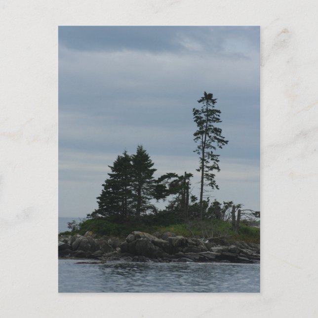 Postal de vacaciones (Anverso)