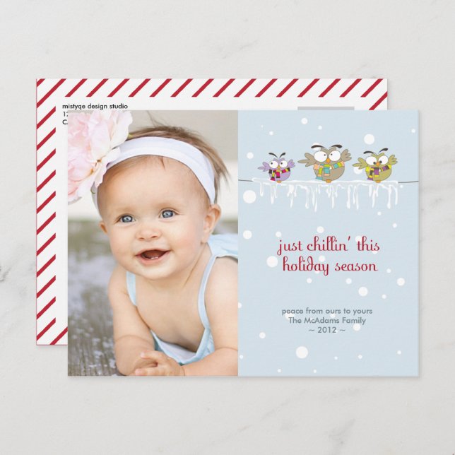 Postal de vacaciones con fotos de búhos de Chillin (Anverso / Reverso)