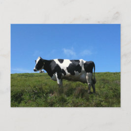 Postal de vacas felices