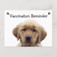 Postal de vacunación veterinaria