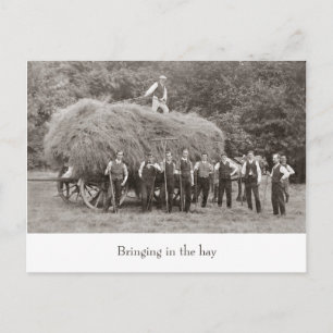 Postal de vagón de heno vintage