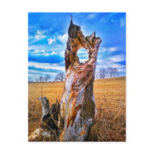 Postal de ventana de tiempo