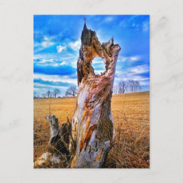 Postal de ventana de tiempo