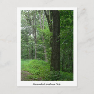 Postal de verano de Guay