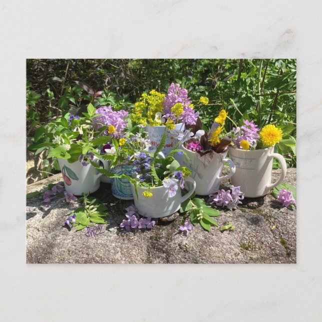 Postal de verano de Muggy dh2022 (Anverso)