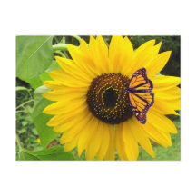 Postal de verano soleado