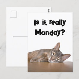Postal ¿De Verdad Es Lunes? Gracioso meme de gato abysini