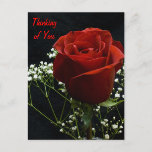 Postal de vertícula de rosa roja