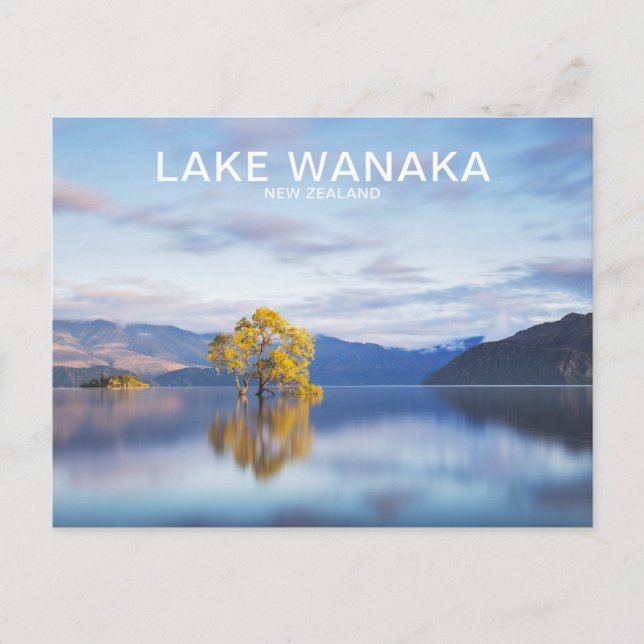 Postal de viaje de Wanaka Tree New Zealand (Anverso)