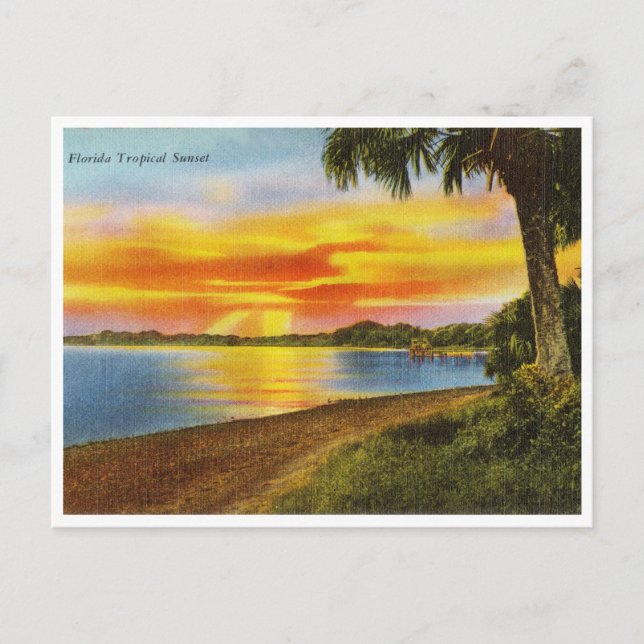 Postal de viaje del atardecer tropical de Florida (Anverso)