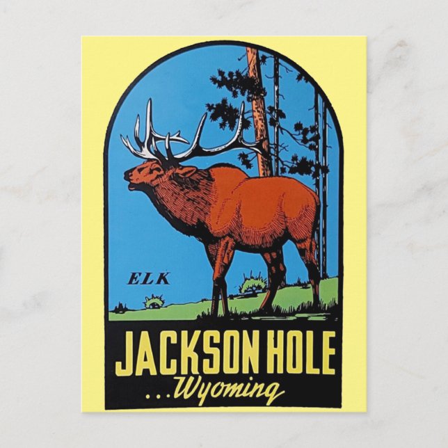 Postal de viaje vintage de Jackson Hole Wyoming (Anverso)