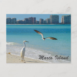 postal de vida silvestre de la isla Marco