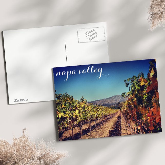 Postal de viñedo de cosecha otoñal de Napa Valley (Subido por el creador)