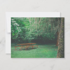 Postal de vintage Mossy Bench