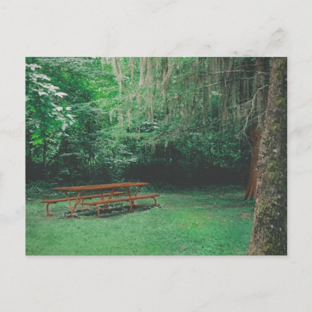 Postal de vintage Mossy Bench (Anverso)