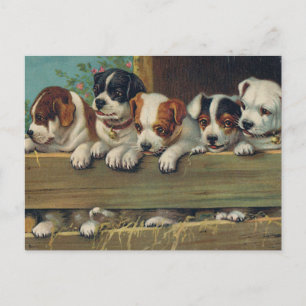 Postal de Vintage Pups