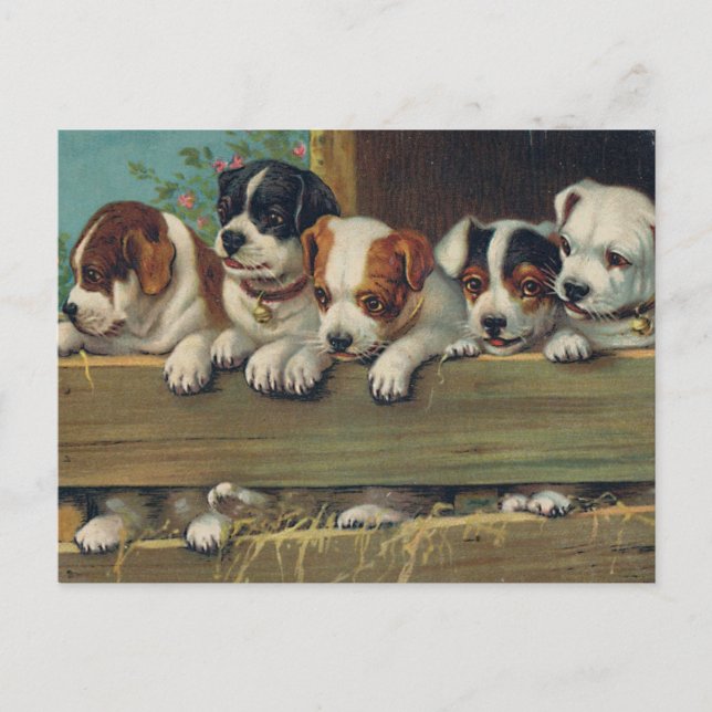 Postal de Vintage Pups (Anverso)