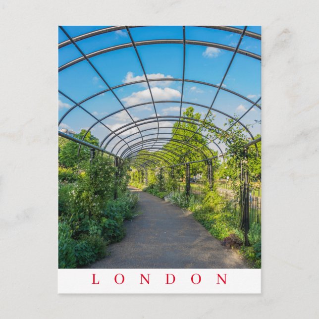 Postal de visión de sendero Hyde Park de Londres (Anverso)