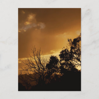 Postal de vistas de arte vivo