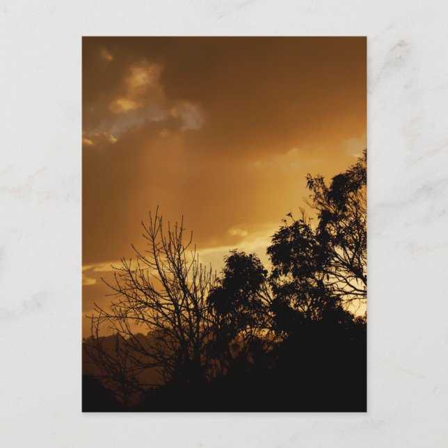 Postal de vistas de arte vivo (Anverso)